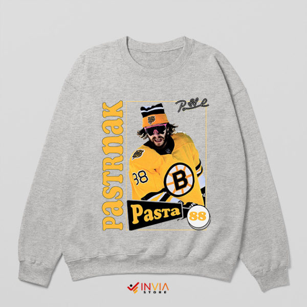 Hockey Hero with David Pastrňák Sport Grey Sweatshirt