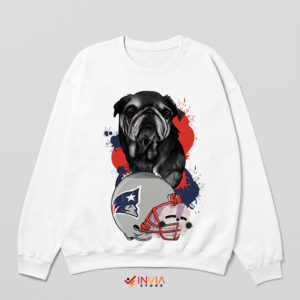 Meme Mascot England Patriots Dog Sweatshirt
